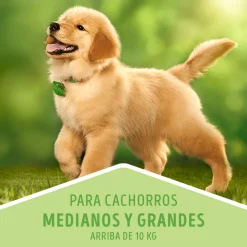 Dog Chow - Purina Cachorros (0 A 12 Meses)^Purina Dog Chow Cachorros Razas Medianas y Grandes 18kg