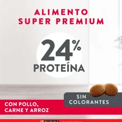 Excellent Adultos (1 A 7 Años)^Purina Adult Chicken & Rice Medium & Large Breed 15kg