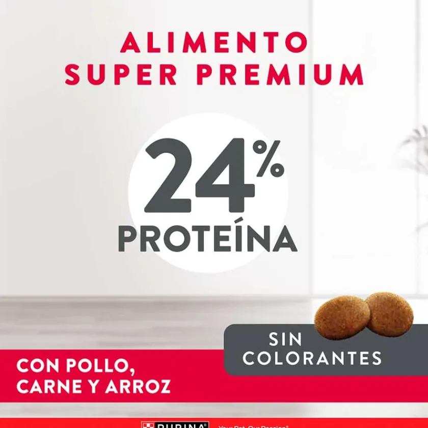 Excellent Adultos (1 A 7 Años)^Purina Adult Chicken & Rice Medium & Large Breed 15kg