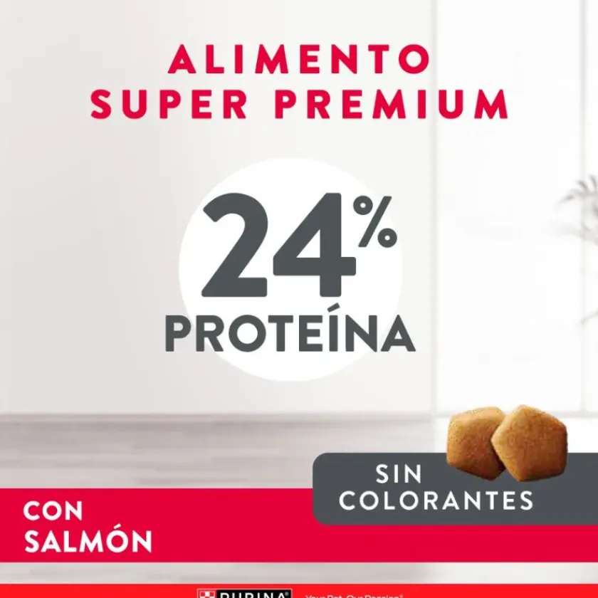 Excellent Adultos (1 A 7 Años)^Purina ® Adultos Piel Sensible con Salmón 12kg