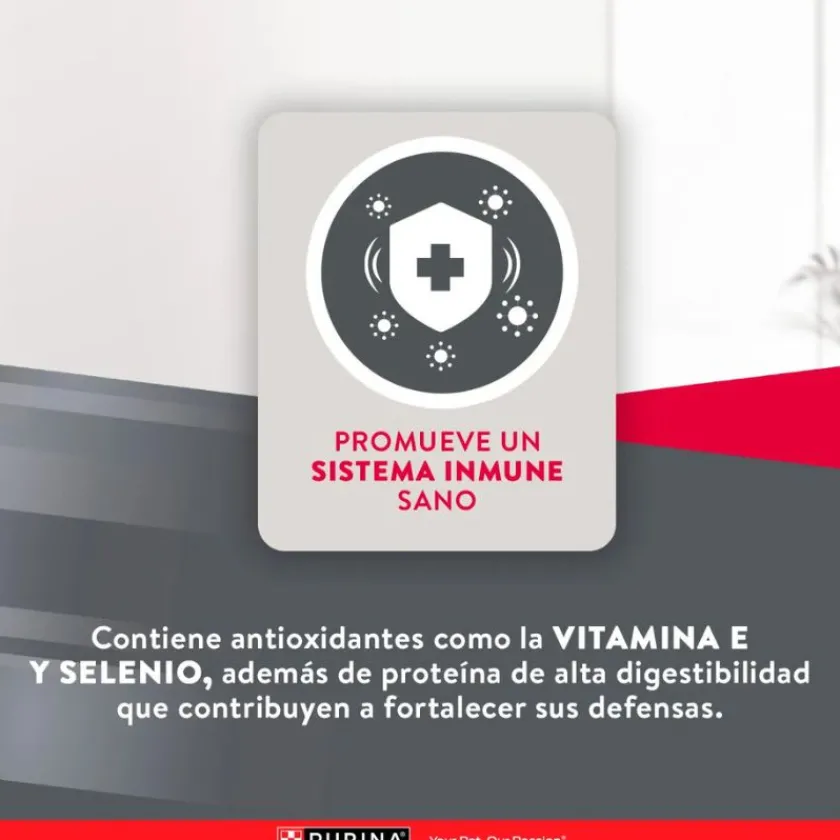 Excellent Adultos (1 A 7 Años)^Purina ® Adultos Piel Sensible con Salmón 12kg