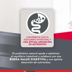 Excellent Adultos (1 A 7 Años) | Productos Outlet^Purina Maintenance Formula Adult 15kg
