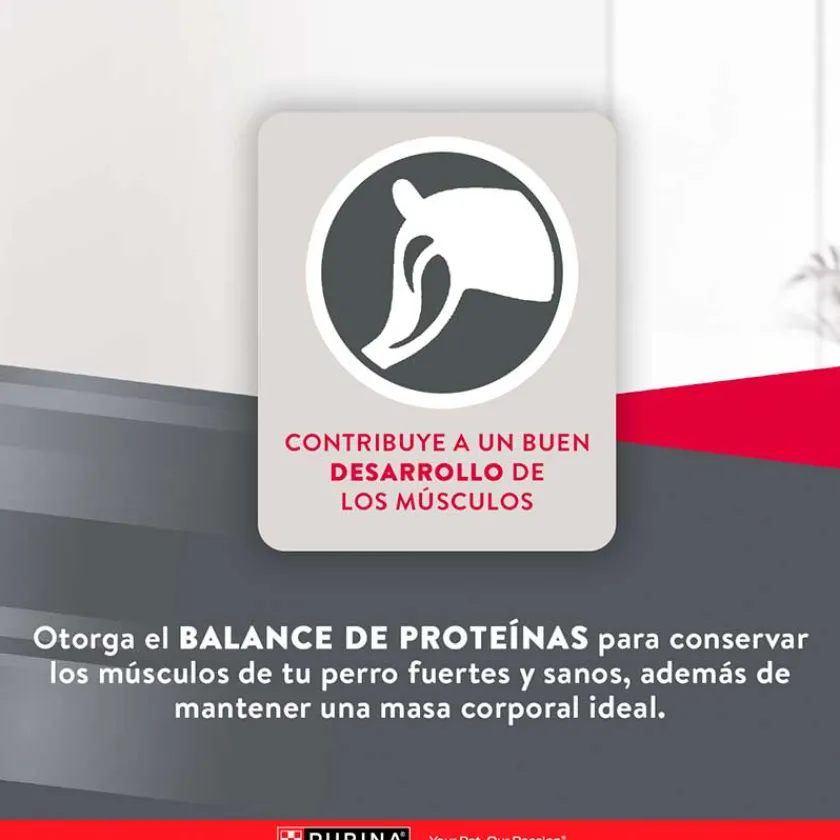 Excellent Adultos (1 A 7 Años) | Productos Outlet^Purina Maintenance Formula Adult 15kg