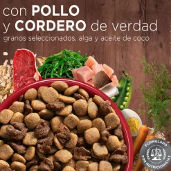 Purina One Adultos (1 A 7 Años)^PURINA® ONE® Adulto Mediano y Grande Pollo y Cordero 2kg