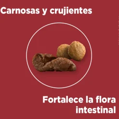 Purina One Adultos (1 A 7 Años)^PURINA® ONE® Adulto Mediano y Grande Pollo y Cordero 6kg
