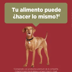 Purina One Adultos (1 A 7 Años)^PURINA® ONE® Adulto Mediano y Grande Pollo y Cordero 6kg