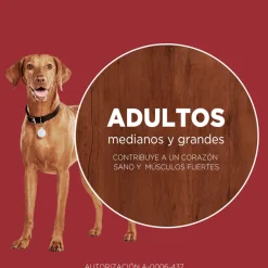 Purina One Adultos (1 A 7 Años)^PURINA® ONE® Adulto Mediano y Grande Pollo y Cordero 6kg