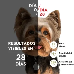 Purina One Adultos (1 A 7 Años)^PURINA® ONE® Adulto Mini y Pequeño Pollo y Cordero 2kg