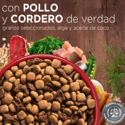 Purina One Adultos (1 A 7 Años)^PURINA® ONE® Adulto Mini y Pequeño Pollo y Cordero 2kg