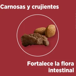 Purina One Adultos (1 A 7 Años)^PURINA® ONE® Adulto Mini y Pequeño Pollo y Cordero 2kg