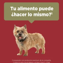 Purina One Adultos (1 A 7 Años)^PURINA® ONE® Adulto Mini y Pequeño Pollo y Cordero 6kg