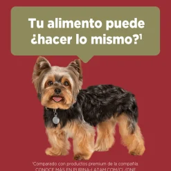 Purina One Adultos (1 A 7 Años)^PURINA® ONE® Adulto Mini y Pequeño Pollo y Carne 2kg