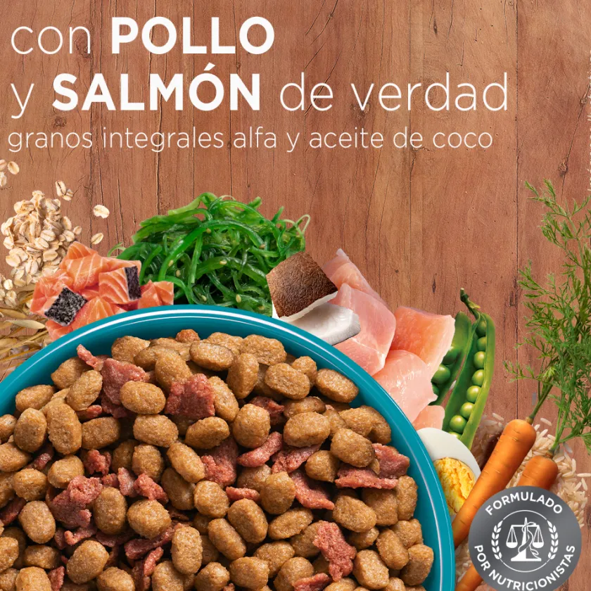 Purina One Adultos (1 A 7 Años)^PURINA® ONE® Adulto Pollo y Salmón 2kg