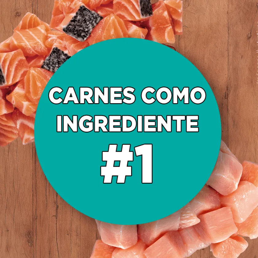 Purina One Adultos (1 A 7 Años)^PURINA® ONE® Adulto Pollo y Salmón 6kg