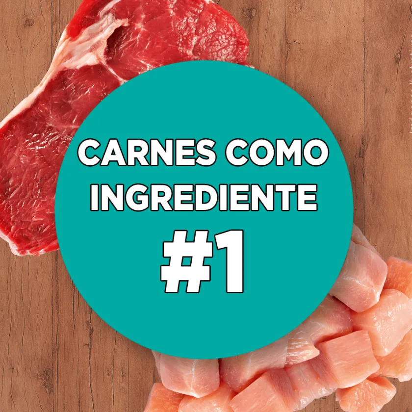 Purina One Adultos (1 A 7 Años)^PURINA® ONE® Adulto Pollo y Carne 2kg