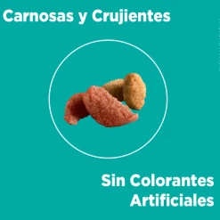 Purina One Adultos (1 A 7 Años)^PURINA® ONE® Adulto Pollo y Salmón 6kg