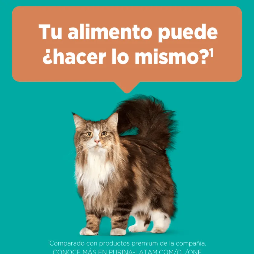 Purina One Adultos (1 A 7 Años)^PURINA® ONE® Adulto Pollo y Salmón 2kg
