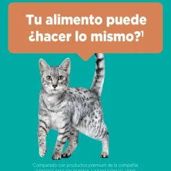 Purina One Adultos (1 A 7 Años)^PURINA® ONE® Adulto Pollo y Carne 2kg