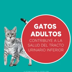 Purina One Adultos (1 A 7 Años)^PURINA® ONE® Adulto Pollo y Carne 2kg