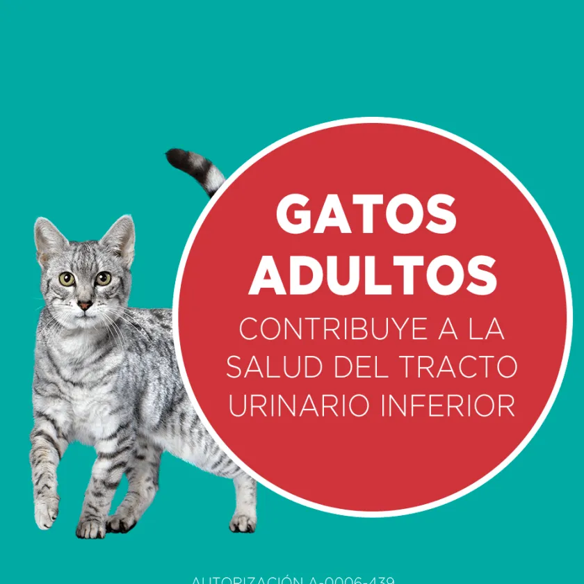 Purina One Adultos (1 A 7 Años)^PURINA® ONE® Adulto Pollo y Carne 2kg
