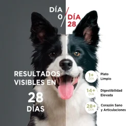 Purina One Cachorros (0 A 12 Meses)^PURINA® ONE® Cachorro Pollo y Carne 12kg