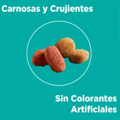 Purina One Castrados^PURINA® ONE® Esterilizado Pollo y Salmón 2kg