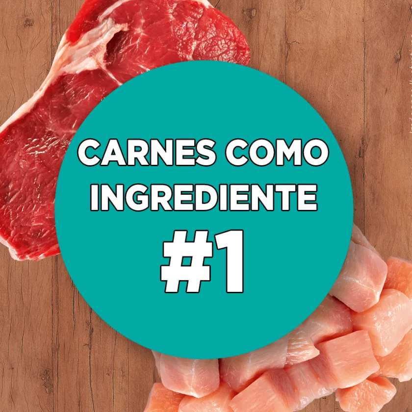 Purina One Gatitos (0 A 12 Meses)^PURINA® ONE® Gatito Pollo y Carne 2kg