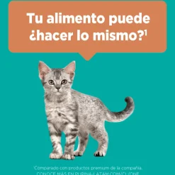 Purina One Gatitos (0 A 12 Meses)^PURINA® ONE® Gatito Pollo y Carne 2kg