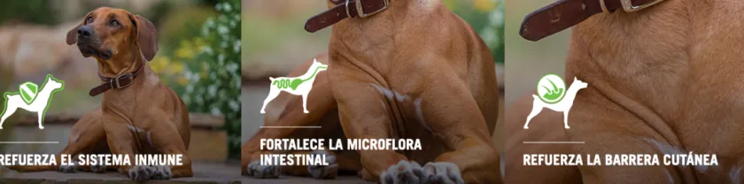 Pro Plan - Purina Adultos (1 A 7 Años)^Purina Pro Plan Adult Razas Medianas con OptiLife 3kg