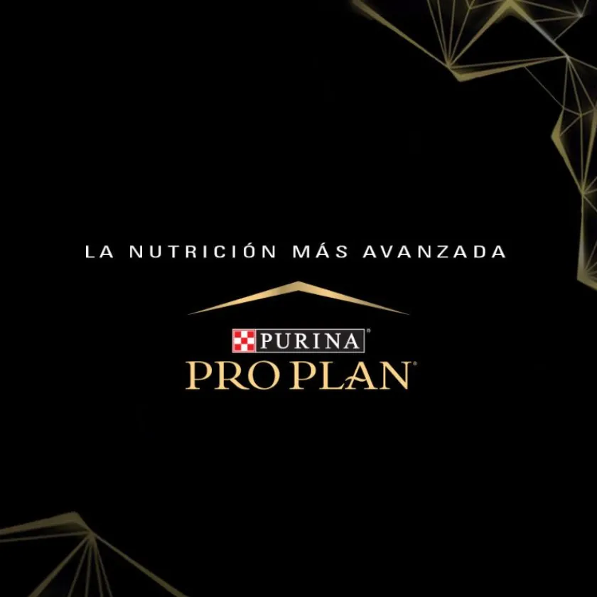 Pro Plan - Purina Adultos (1 A 7 Años)^Purina Pro Plan Adult Razas Medianas Con Optihealth 12 kg