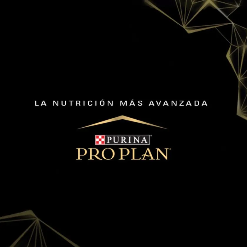 Pro Plan - Purina Adultos (1 A 7 Años)^Purina Pro Plan Adult Sensitive Skin Cordero Con Optiderma 12kg