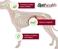 Pro Plan - Purina Adultos (1 A 7 Años)^Purina Pro Plan Adult Small con OptiLife 3kg