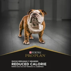 Pro Plan - Purina Control Peso^Purina Pro Plan Adulto Raza Mediana y Grande Reduced Calorie 12 kg