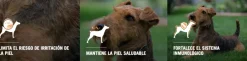 Pro Plan - Purina Adultos (1 A 7 Años)^Purina PRO PLAN Adulto Raza Pequeña Sensitive Skin 3kg