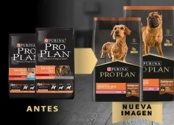 Pro Plan - Purina Adultos (1 A 7 Años)^Purina PRO PLAN Adulto Rz Mediana y Grande Sensitive Skin 3kg