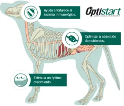 Pro Plan - Purina Cachorros (0 A 12 Meses)^Purina PRO PLAN Cachorro Raza Mediana 1kg