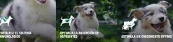 Pro Plan - Purina Cachorros (0 A 12 Meses)^Purina PRO PLAN Cachorro Raza Mediana 1kg