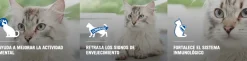 Pro Plan - Purina Senior (+7 Años)^Purina Pro Plan Cat Adult +7 con OptiAge 3kg