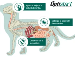 Pro Plan - Purina Gatitos (0 A 12 Meses)^Purina Pro Plan Cat Kitten con OptiStart 1kg