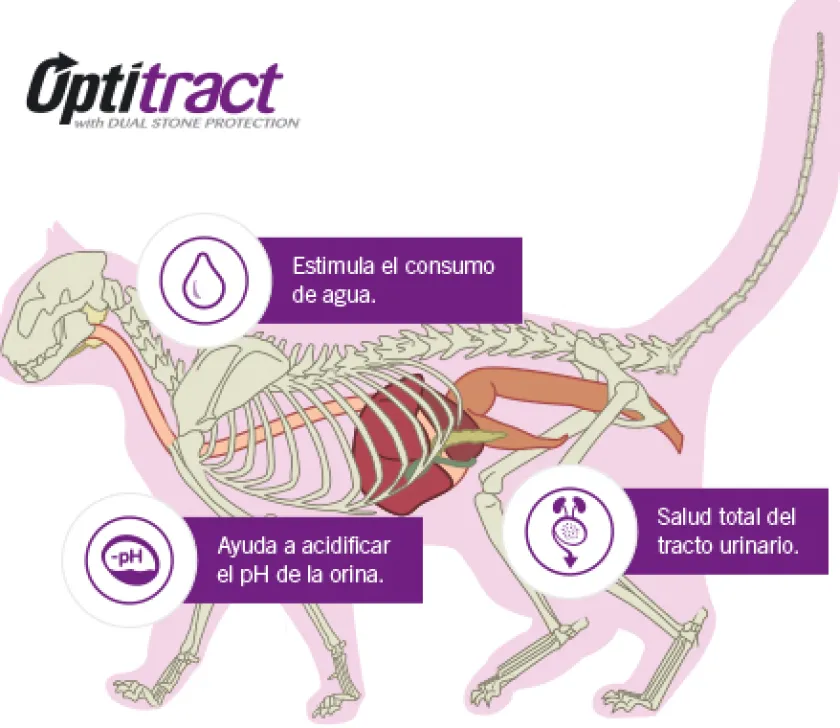 Pro Plan - Purina Adultos (1 A 7 Años)^Purina Pro Plan Cat Urinary con OptiTract 1kg