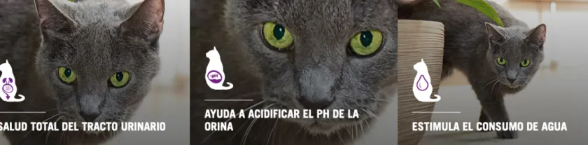 Pro Plan - Purina Adultos (1 A 7 Años)^Purina Pro Plan Cat Urinary con OptiTract 7.5kg