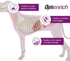 Pro Plan - Purina Adultos (1 A 7 Años)^Purina Pro Plan Exigent Small con OptiEnrich 7.5kg