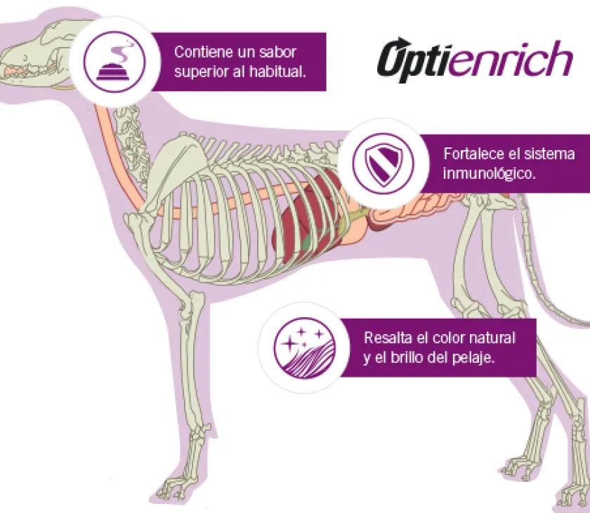 Pro Plan - Purina Adultos (1 A 7 Años)^Purina Pro Plan Exigent Small con OptiEnrich 7.5kg