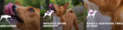 Pro Plan - Purina Adultos (1 A 7 Años)^Purina Pro Plan Exigent Small con OptiEnrich 7.5kg
