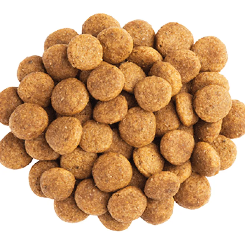 Pro Plan - Purina Alimentación Medicada | Senior (+7 Años)^Purina Pro Plan NC Neuro Care Canino 7.5kg