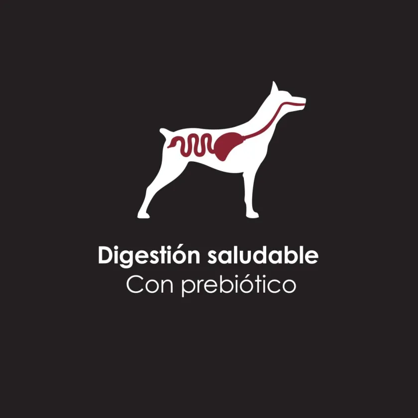 Pro Plan - Purina Húmedos^Purina Pro Plan Perro Adulto Lata 368.5gr