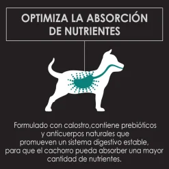 Pro Plan - Purina Cachorros (0 A 12 Meses)^Purina Pro Plan Puppy Large con OptiStar 15kg