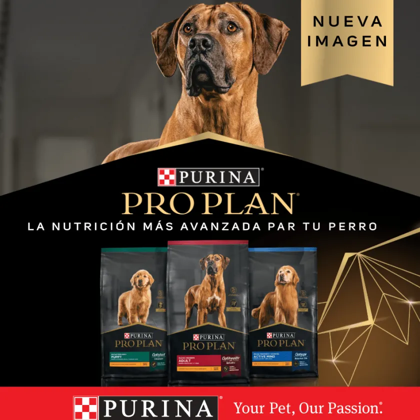 Pro Plan - Purina Cachorros (0 A 12 Meses)^Purina Pro Plan Puppy Small con OptiStar 7.5kg