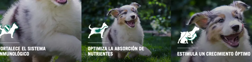 Pro Plan - Purina Cachorros (0 A 12 Meses)^Purina Pro Plan Puppy Small con OptiStar 7.5kg