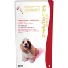 Revolution Antipulgas Y Garrapatas^Antiparasitario para Perros de 10 a 20kg